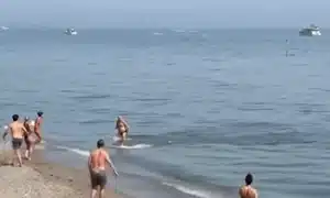 GIF ton plaja