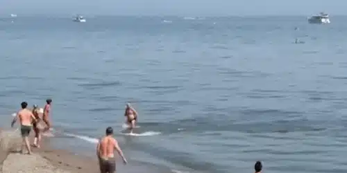 GIF ton plaja