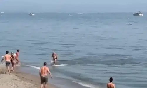 GIF ton plaja