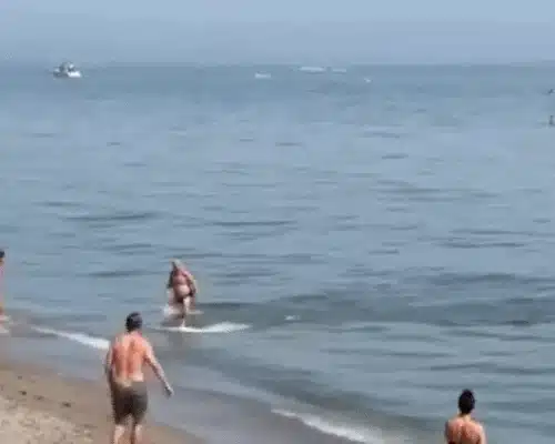 GIF ton plaja