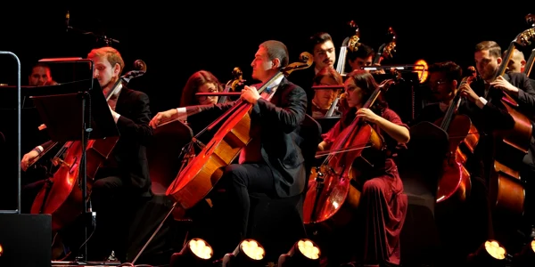 Orchestra Romana de Tineret FOTO Virgil Oprina
