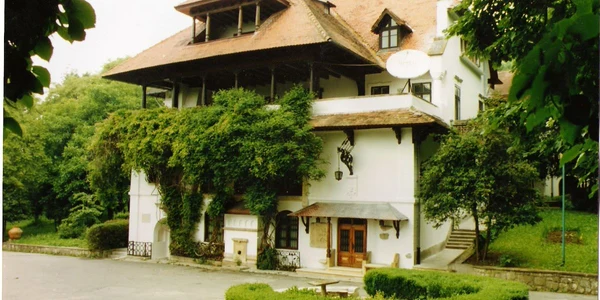 Vila Florica de la Ştefăneşti