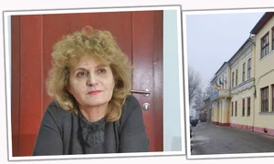 Mioara Comana  s a plâns de iritații  la nivelul ochilor  și în gât după vizita la Liceul German  jpeg