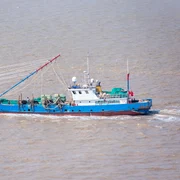 Barca de pescuit chineză FOTO shutterstock jpg