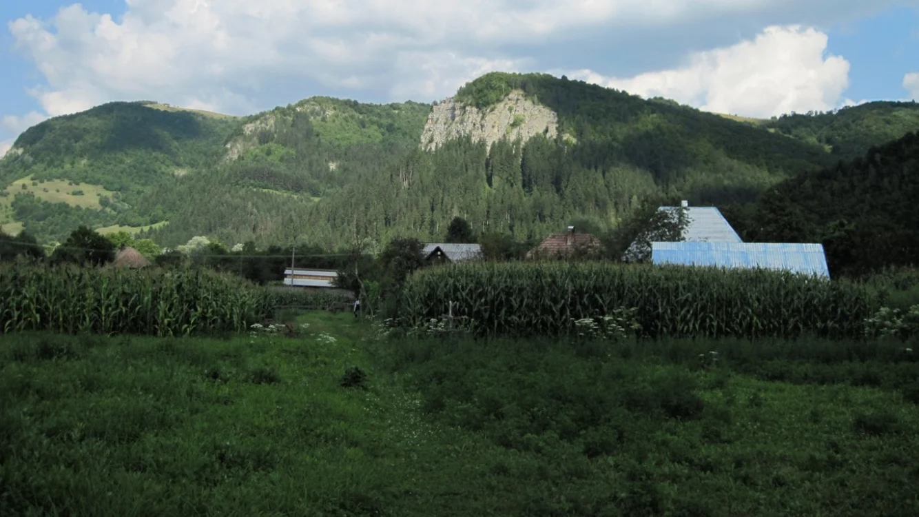 stanci lupsa