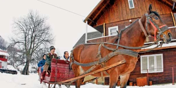 Turiştii se pot plimba  cu sania trasă de cai