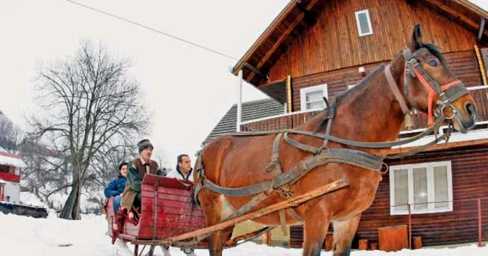 Turiştii se pot plimba  cu sania trasă de cai