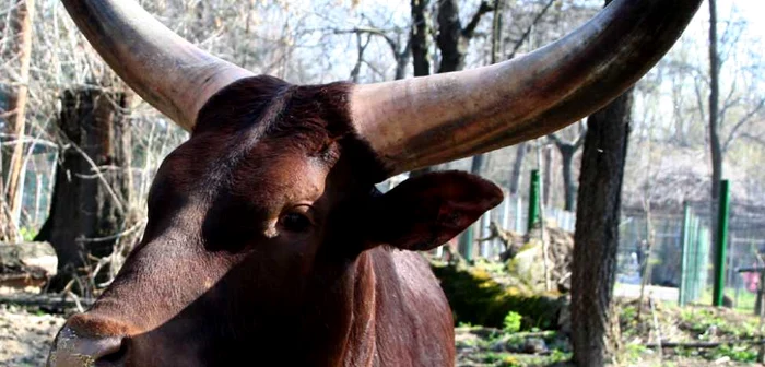 Şi la Zoo vor fi făcute unele investiţii