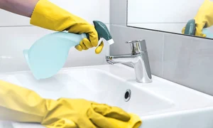 1 woman chores bathroom home cleaning sink jpg jpeg