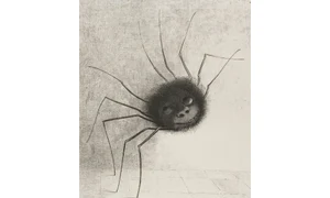 Crying spider, smiling spider jpeg
