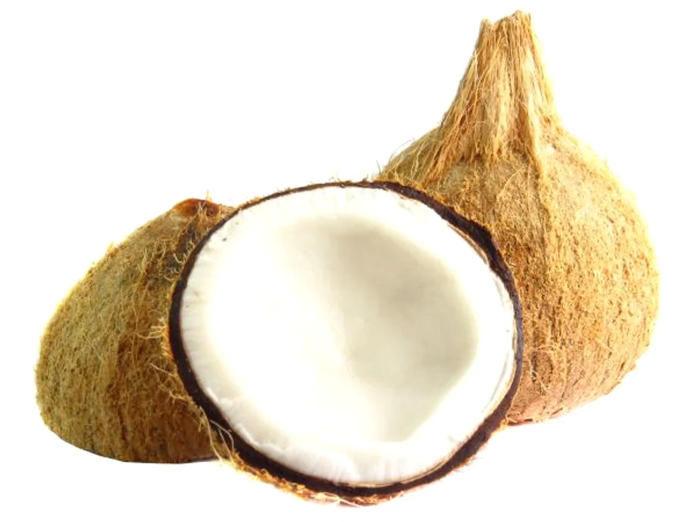 
    Laptele de nucă de cocos este cel mai bun balsam natural pentru păr   