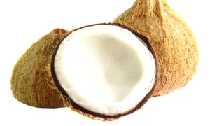 nuca de cocos fructe 02 01 2008 23 37 20 jpeg