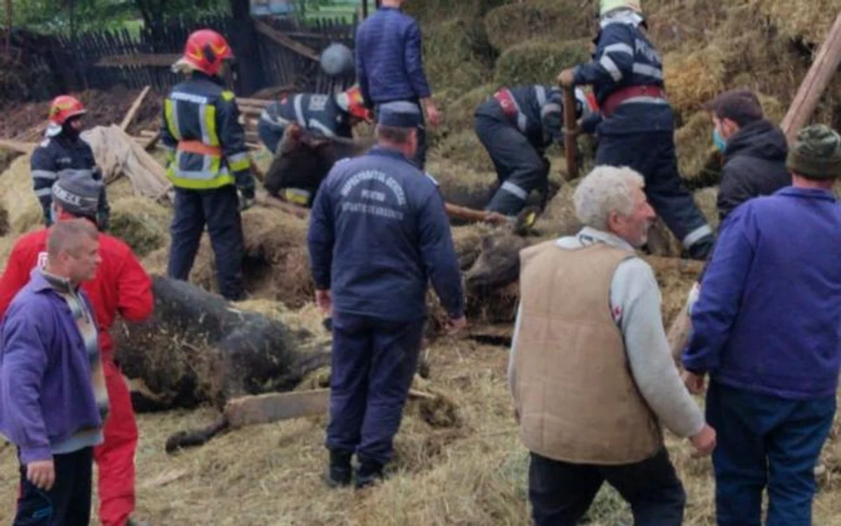 la intervenţie au participat pompieri şi voluntarii din comună. FOTO: ISU Neamţ