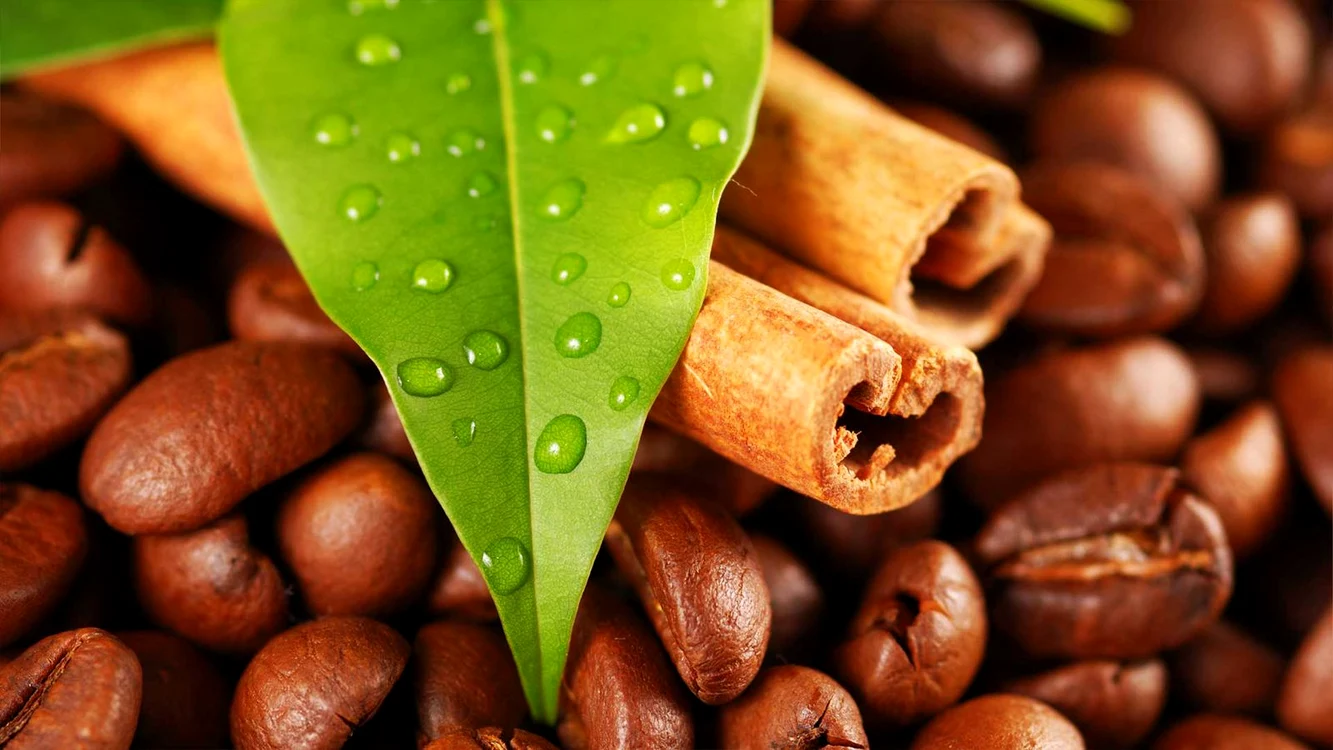 schimbare de paradigma in obiceiurile romanilor de ce revine la moda ritualul cafelei de specialitate acasa1 jpg