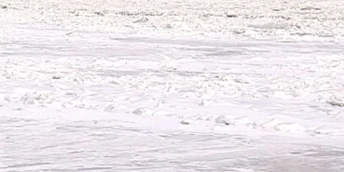 Dunărea este îngheţată