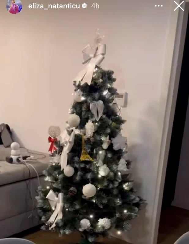 Bradul Elizei Natanticu are decorațiuni albe foto: Instagram 