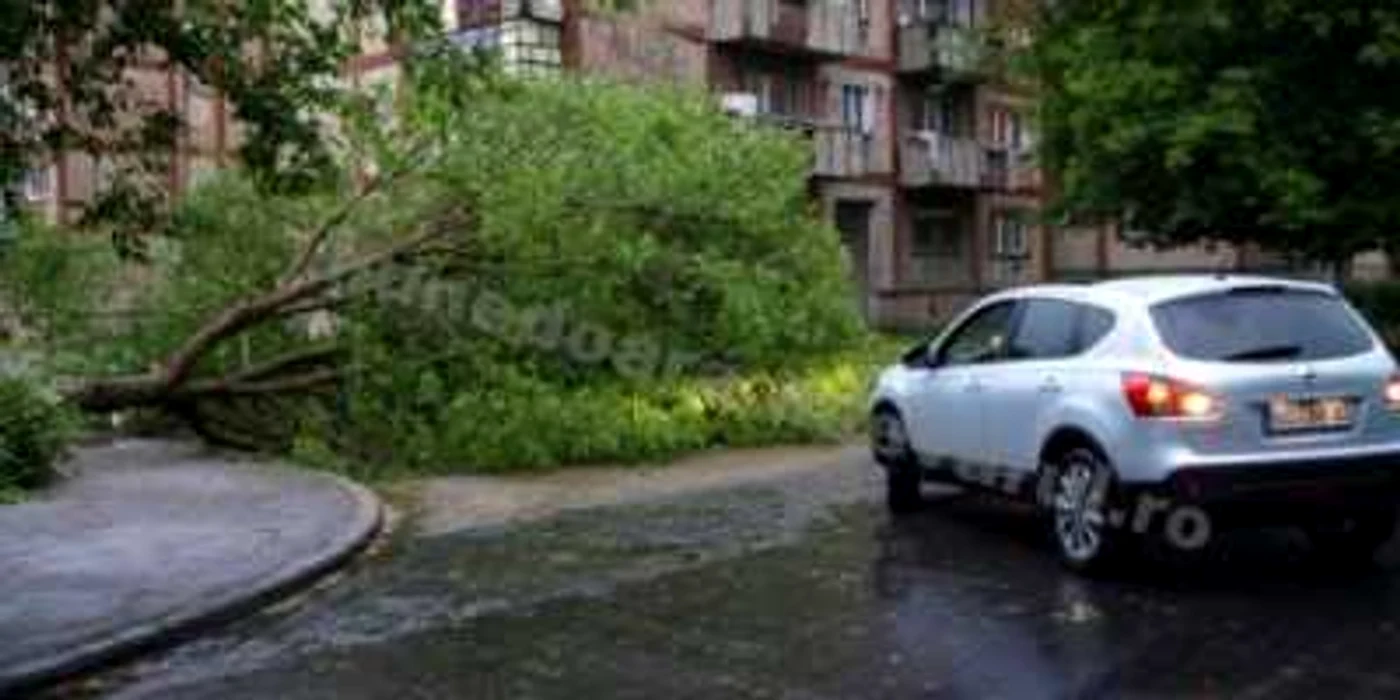 Foto: Arhivă D.G.