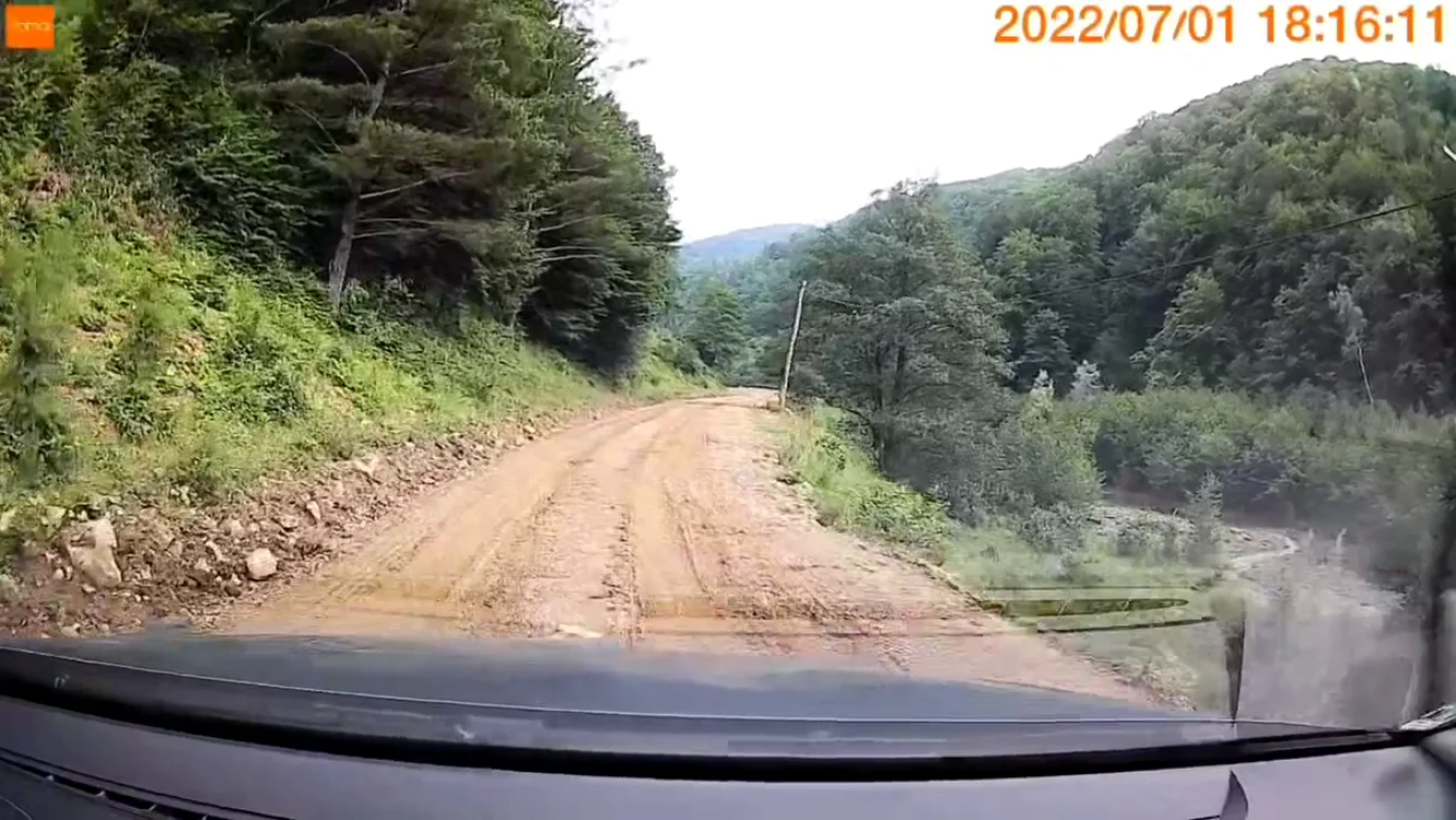 Captură video