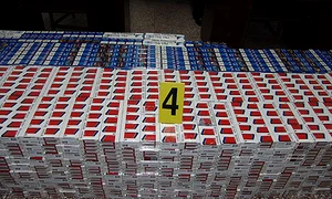 CLIIMA20090918 0075 1 jpeg