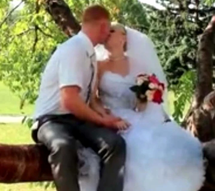 
    Tinerii au realizat o şedinţă foto în copac  