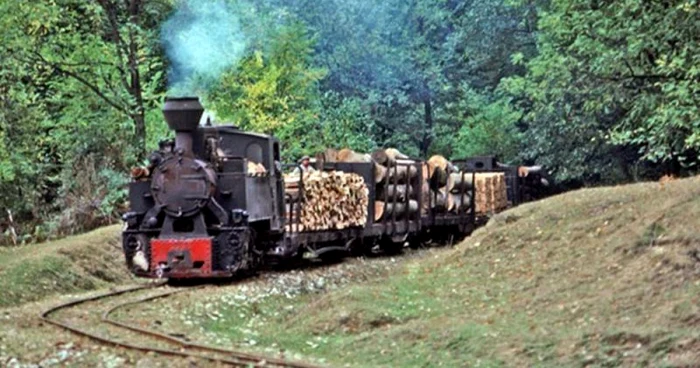Mocăniţa a circula între Padeş-Tismana şi Târgu Jiu FOTO: Paul Zurlinden
