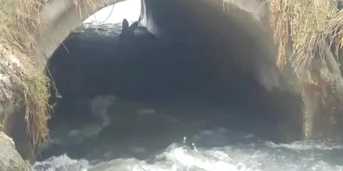 5aae797ddf52022f75b922b3 jpg