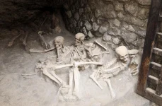 glass brain mystery herculaneum 1 webp