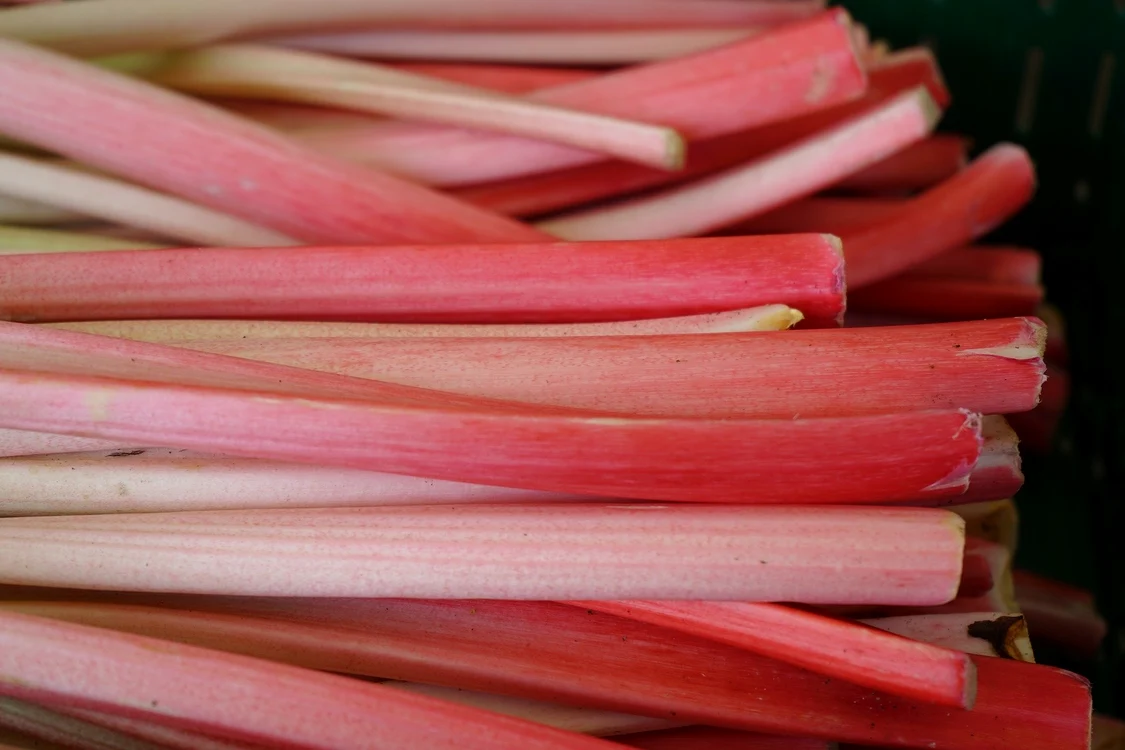 
     Fructul de rubarbă conține o cantitate apreciabilă de calciu, de 348 mg mai mult decât o cană de laptefoto: pixabay.com  