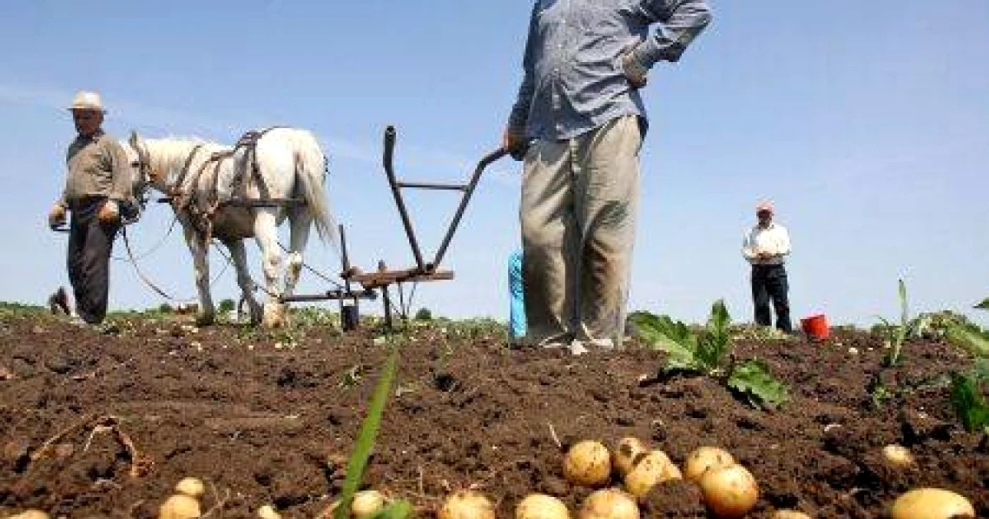 S-a finalizat recensământul agricol