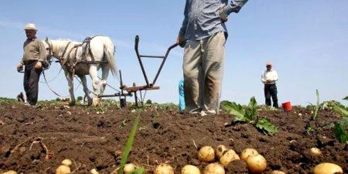 S-a finalizat recensământul agricol