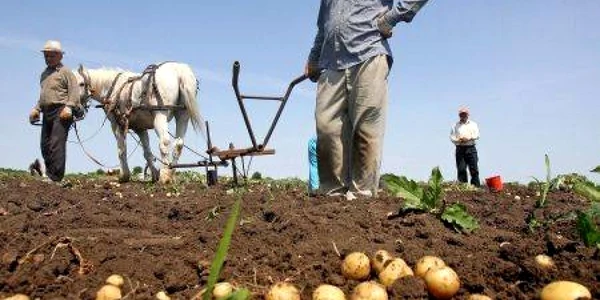  S-a finalizat recensământul agricol 