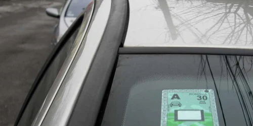 Doar 4.040 de roviniete s-au vândut în judeţ anul trecut
