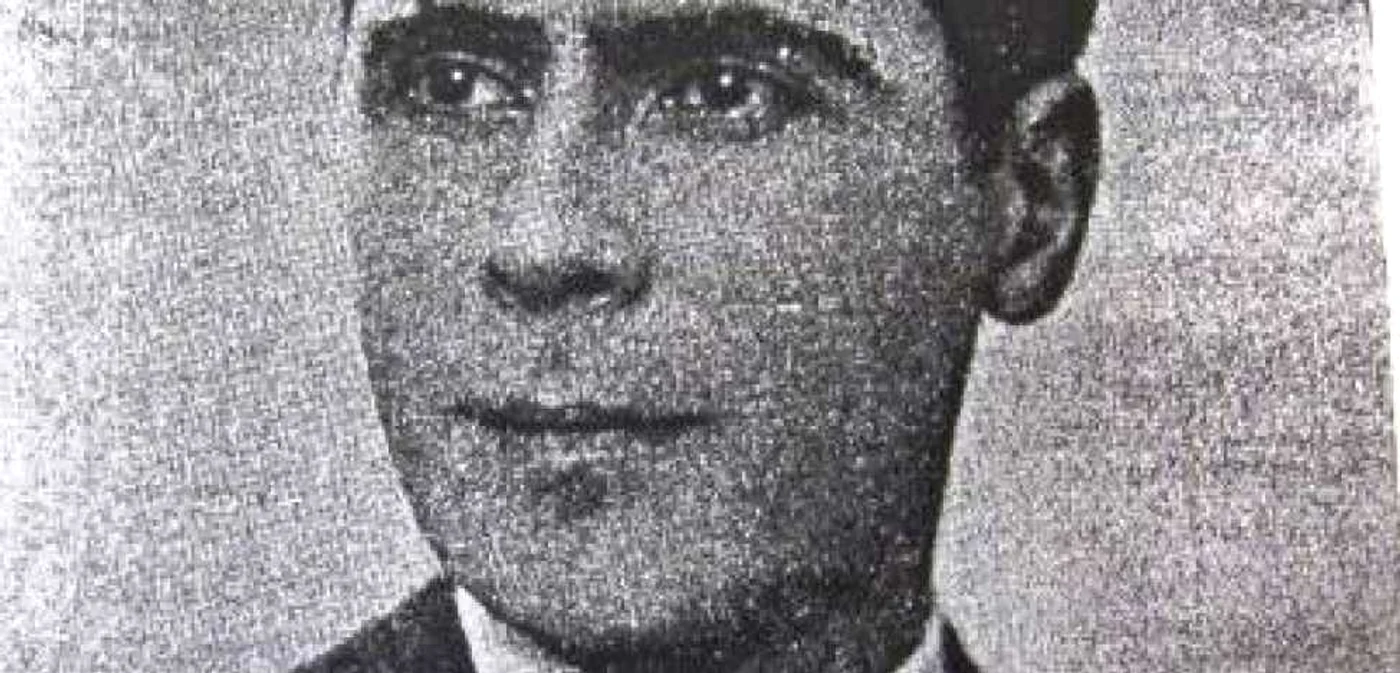 alexandru colfescu