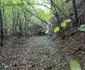 Fosta cale ferată Hunedoara Govajdia Foto Daniel Guță (138) JPG