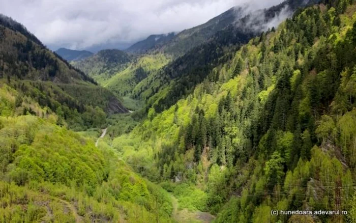 Drumul spre Poiana Pelegii străbate locuri impresionante. FOTO: Daniel Guţă. ADEVĂRUL.