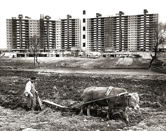 Apgujeong-dong, Seoul, 1978