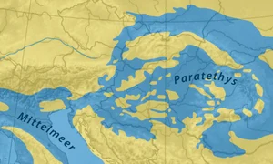 megalac Paratethys jpg
