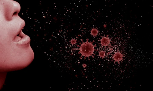 1 coronavirus 4952102 1280 jpg jpeg