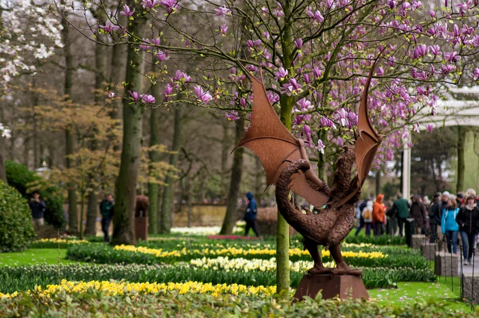 Casa florilor. FOTO: Unsplash