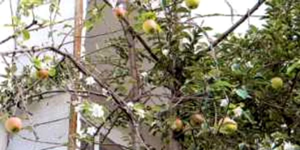 Judeţ cu judeţ : În cartierul Brăiliţa din municipiul Brăila va fi inaugurată, săptămâna viitoare, o grădiniţă