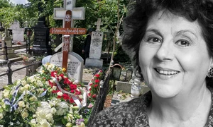 banner adela marculescu png
