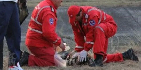 Cadrele medicale au încercat resuscitarea, dar a fost în zadar