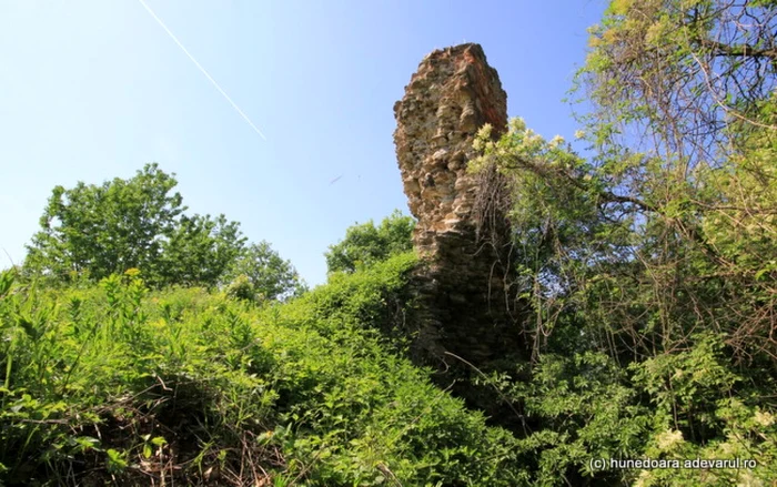 cetatea regala a hategului foto daniel guta adevarul