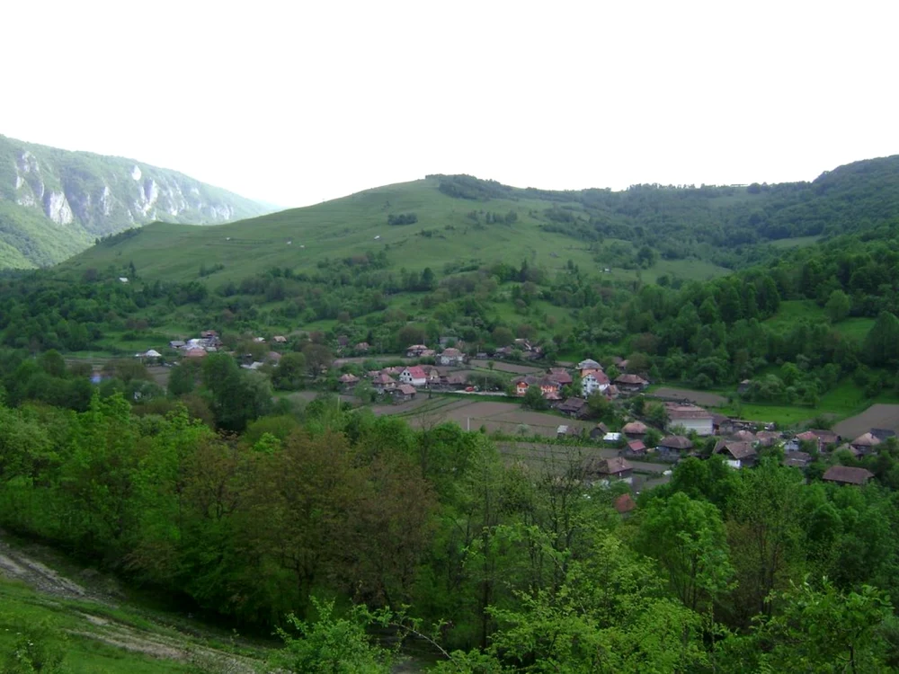 posaga alba