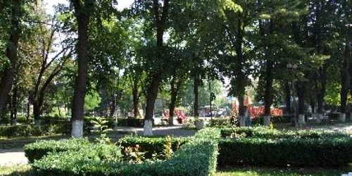 Bacău: Prins la furat de înghețată