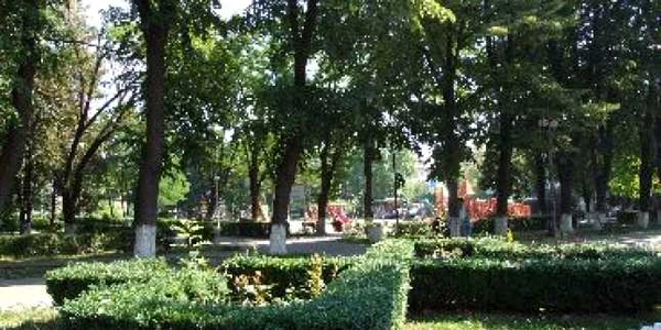 Bacău: Prins la furat de înghețată