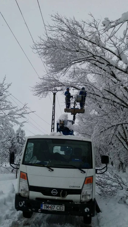 Reprezentanţii companiei Delgaz Grid atrag atenţia că în unele zone conductoarele sunt rupte şi există pericolul de electrocutare Foto: News.ro