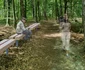 Amenajare pădure parc în Râmnicu Vâlcea Foto Primăria Râmnicu Vâlcea jpg