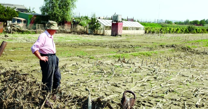 Zeci de hectare de teren agricol au fost inundate. Foto Adevărul