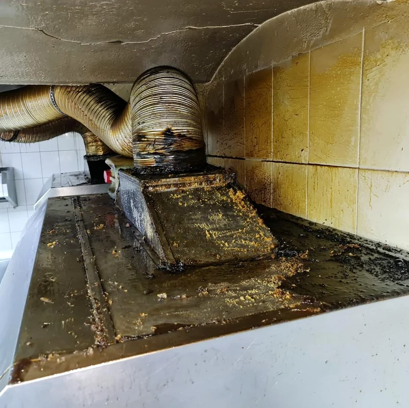 Mizerie la restaurantul Templul Soarelui Foto ANPC / Horia Constantinescu (Facebook)